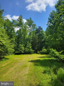0 Maple Bottom Dr, Unionville, VA, 22567