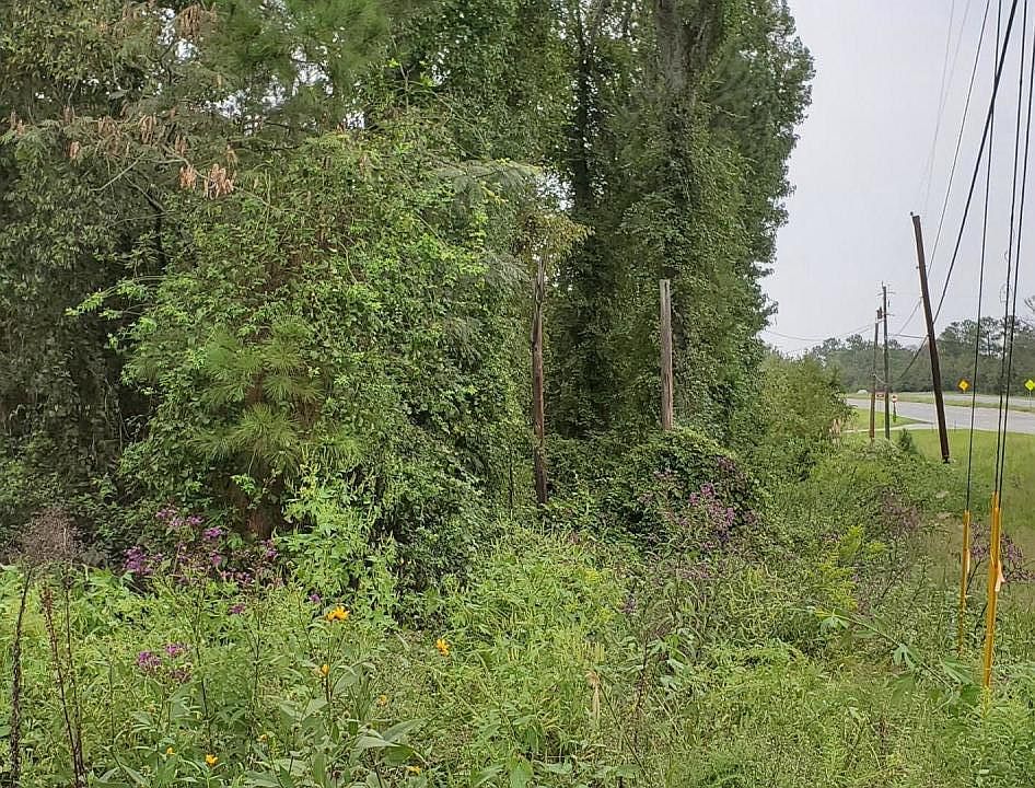 2nd image of 7155 Hawkinsville Rd