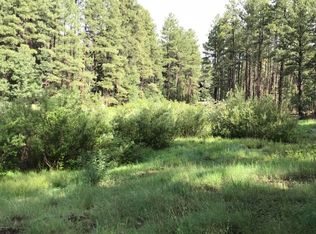 193 W Pine Shadow Dr, Lakeside, AZ 85929