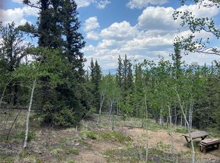 190 Strelets Way, Como, CO 80456