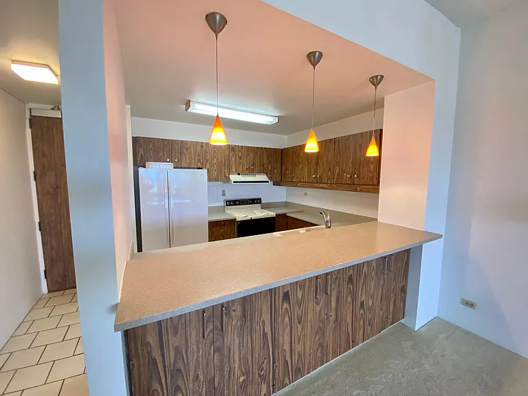 1717 Mott Smith Dr #Penthouse 3 — Photo 2