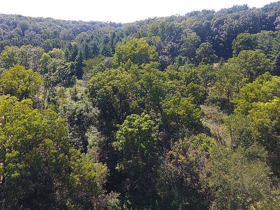 4th image of 2675/ACRE S Nels