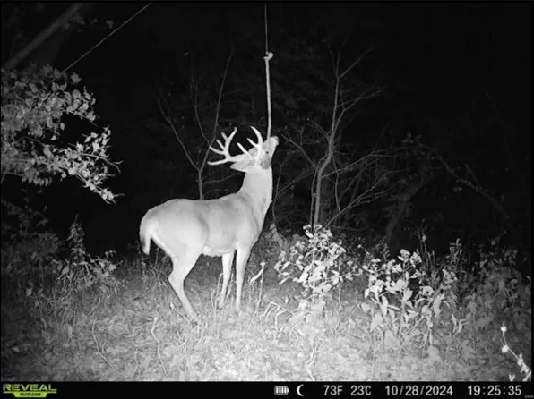 4432 State Highway 79, Louisiana, MO 63353