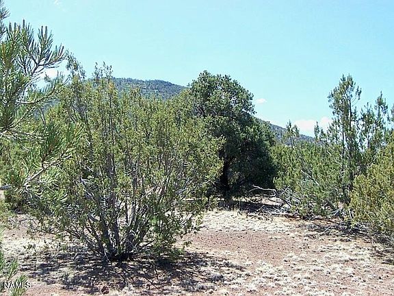 4th image of 10425 N Overlook Dr