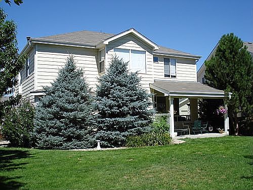 Back Patio