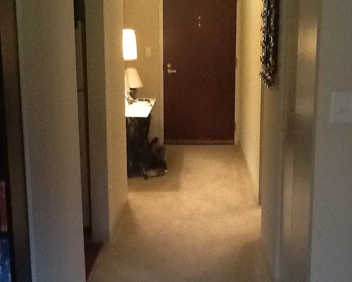 440 N Wabash Ave #612 — Photo 3