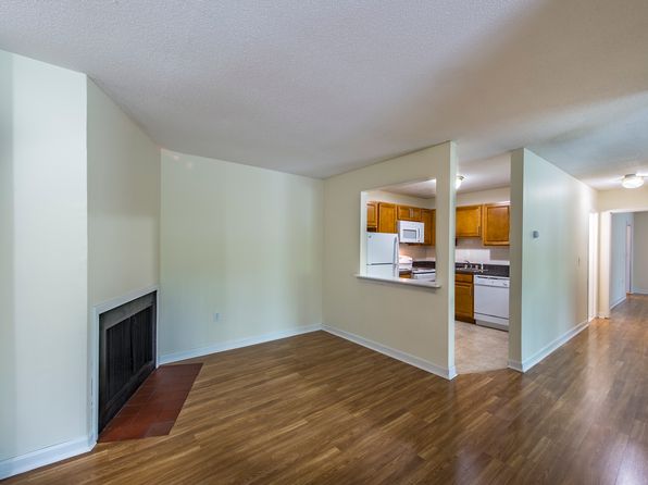 382 Sunderland Rd APT 7