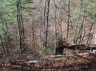 Craig Cv, Townsend, TN 37882