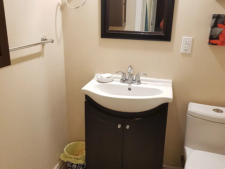 208 Tiller Trl #BASEMENT — Photo 5