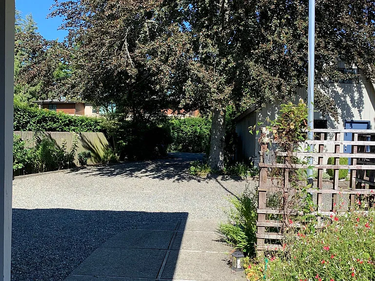 Front yard and driveway
