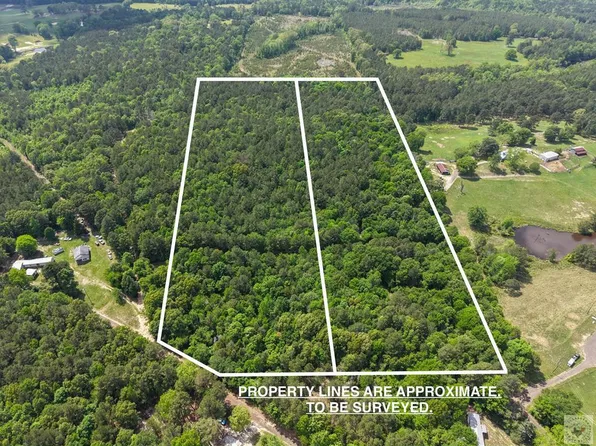 County Road 4451, Bivins, TX 75555
