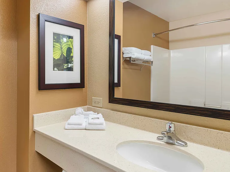 Studio Suite - 1 King Bed