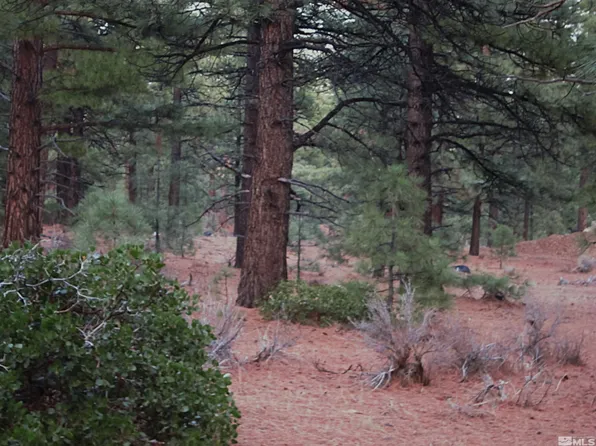 0 Maggie Ln, Reno, NV 89511