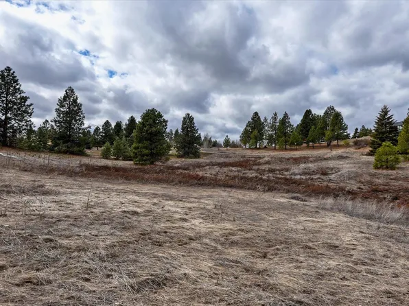12118 W Orchard Terrace Dr, Cheney, WA 99004