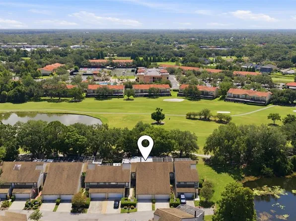 4205 Arborwood Ln, Tampa, FL 33618