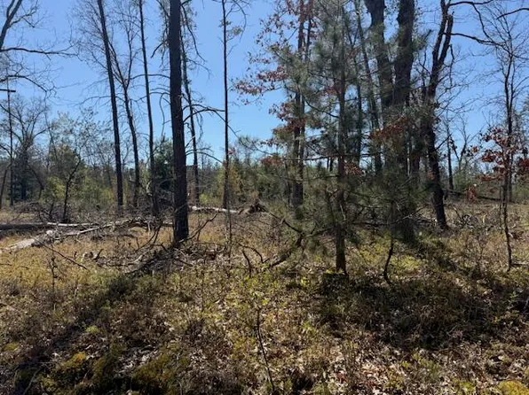 Vl Prarie Rd, Idlewild, MI 49642