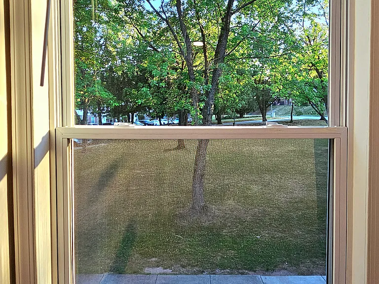 View from Master window (left)