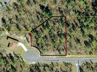 Flagstaff Dr, Weeki wachee, FL 34614