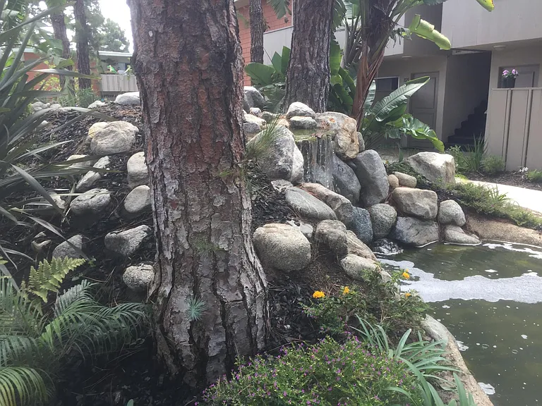 Beachwood Village Apartments — Photo 107
