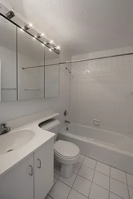 Rented by Manhattan Skyline | media 4