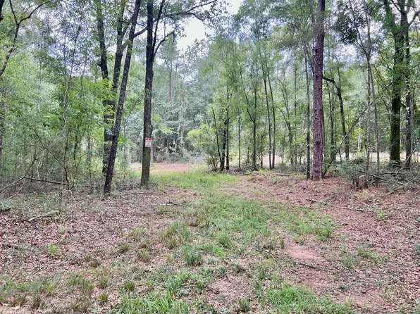 235AC N County Road 61, Hartford, AL 36344