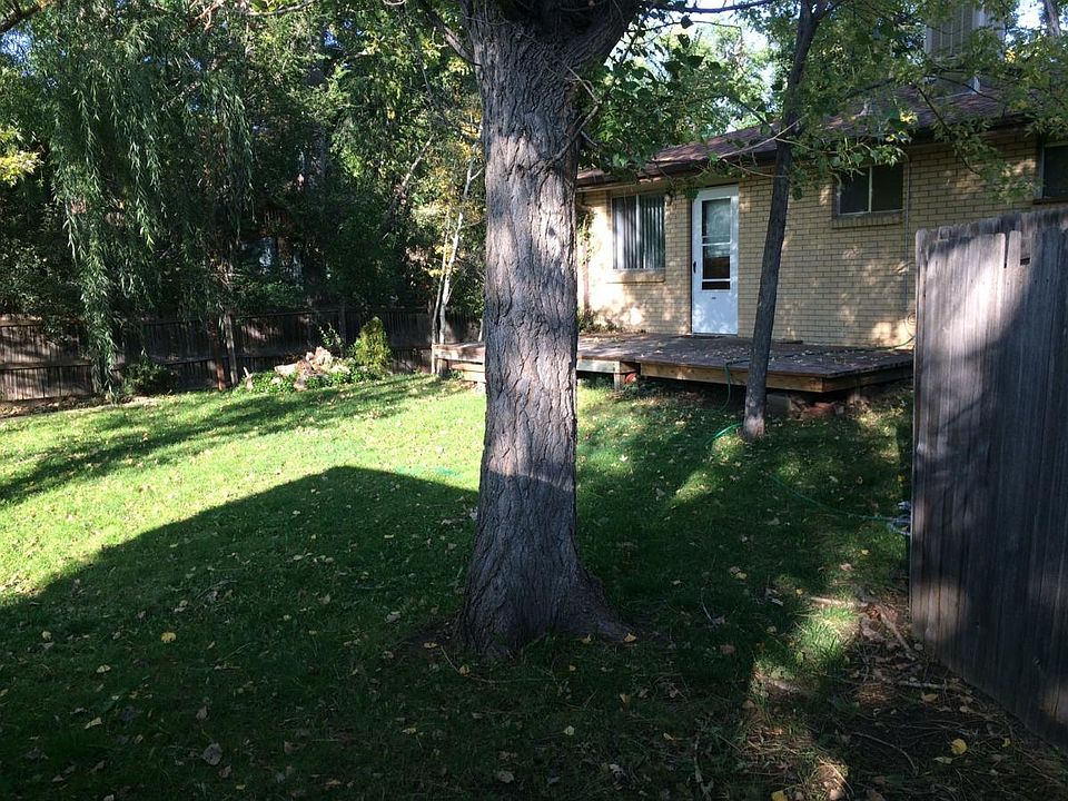 BIG BACK YARD
