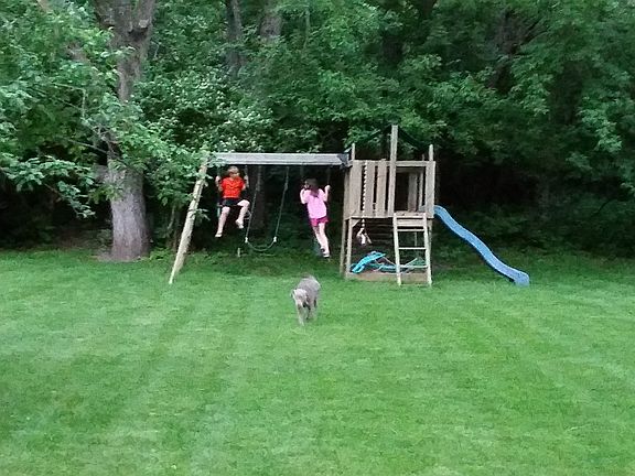 Privated Wooded Backyard