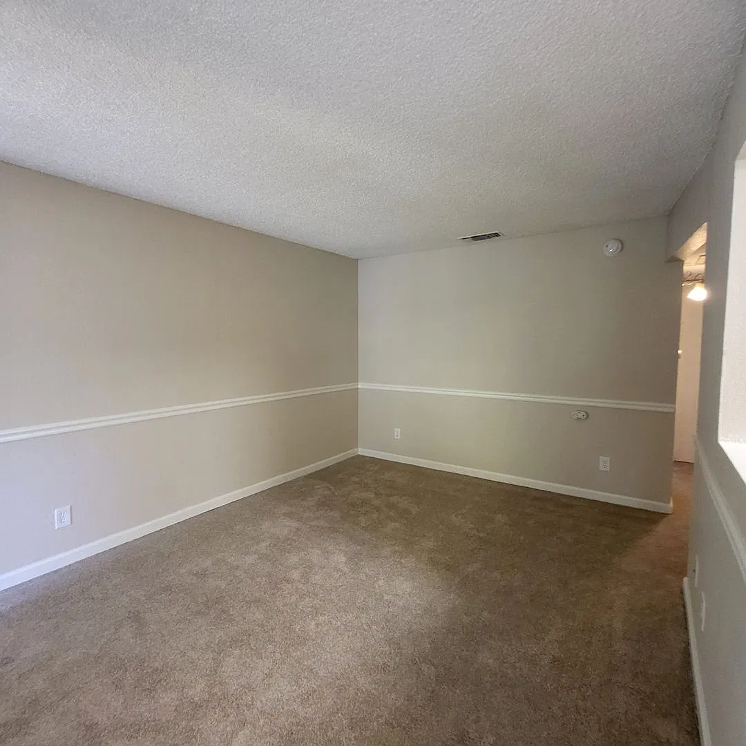 Olive Glen — Photo 4