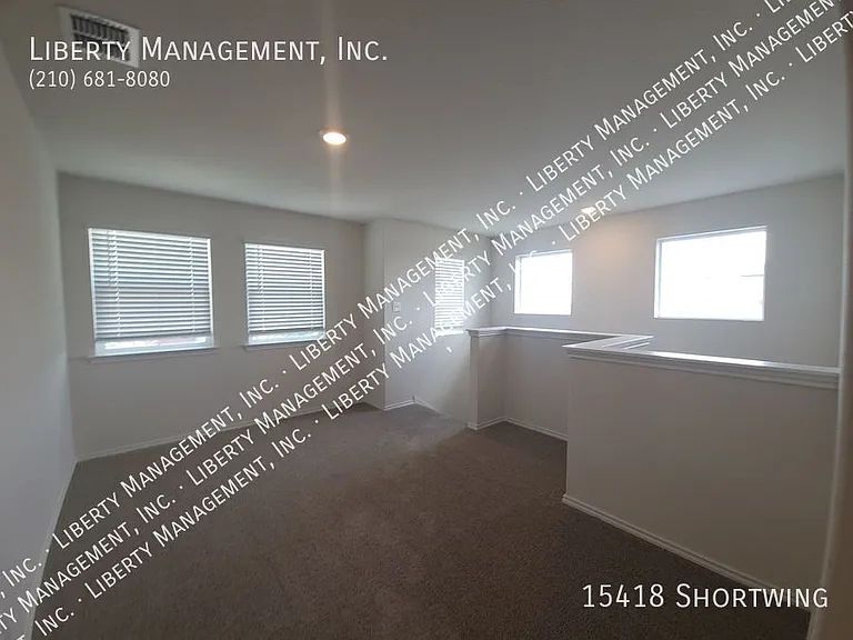 15418 Shortwing — Photo 20