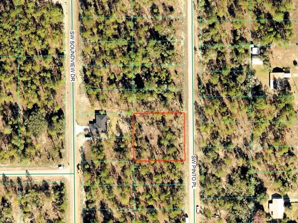 SW Pinto Pl Lot 8, Dunnellon, FL 34431