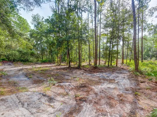 34389 Grindstone Dr #9, Webster, FL 33597