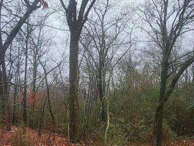 Halk Ter, Hot springs national park, AR, 71901