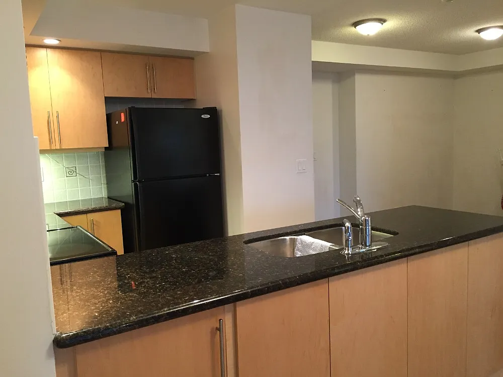 1 bed, 730 sqft, $2,550 — Photo 4