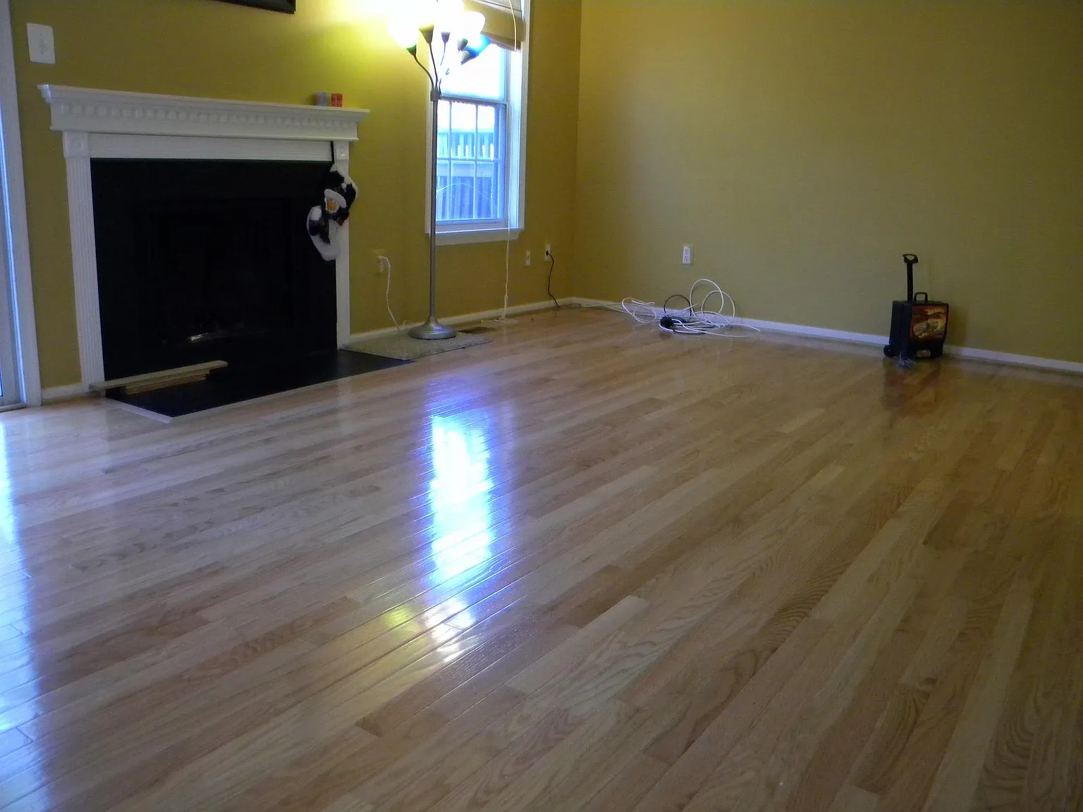 411 Sternwheeler Ct — Photo 3