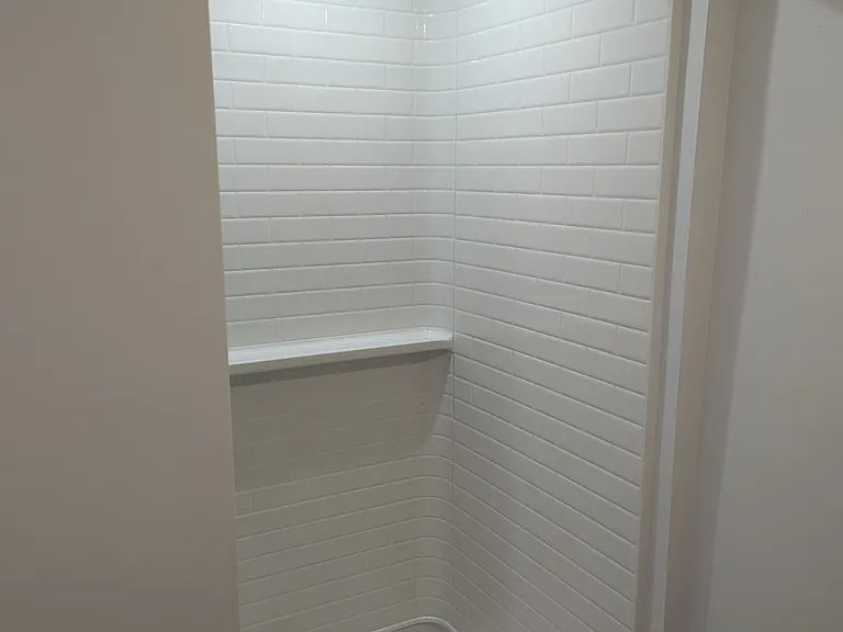 Lower Level Bathroom
