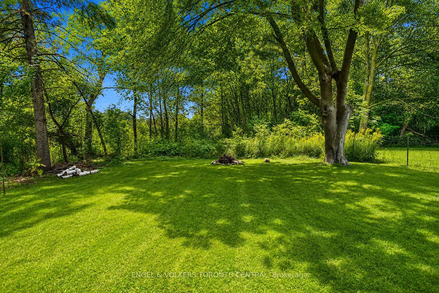 1 bed, $1,875 — Photo 2