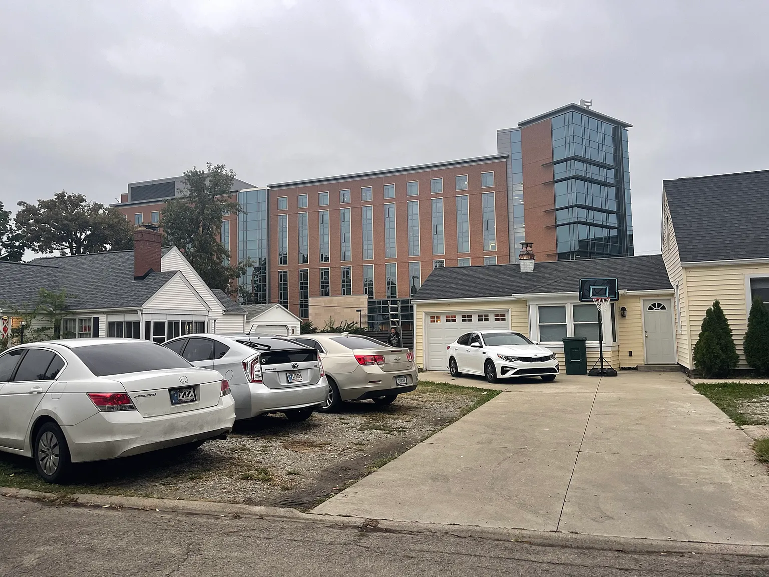 1 bed, 800 sqft, $780 — Photo 2