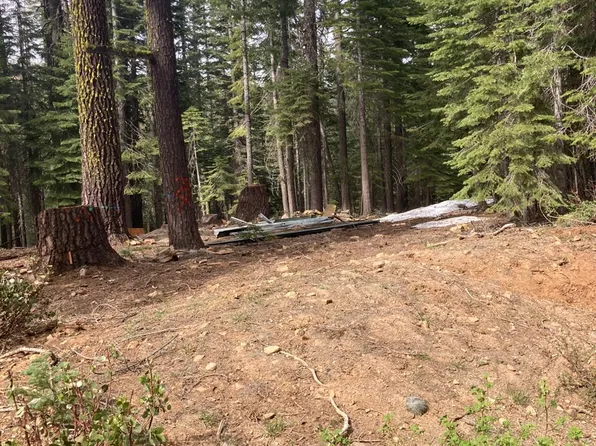 8896 Big Creek Rd, Quincy, CA 95971