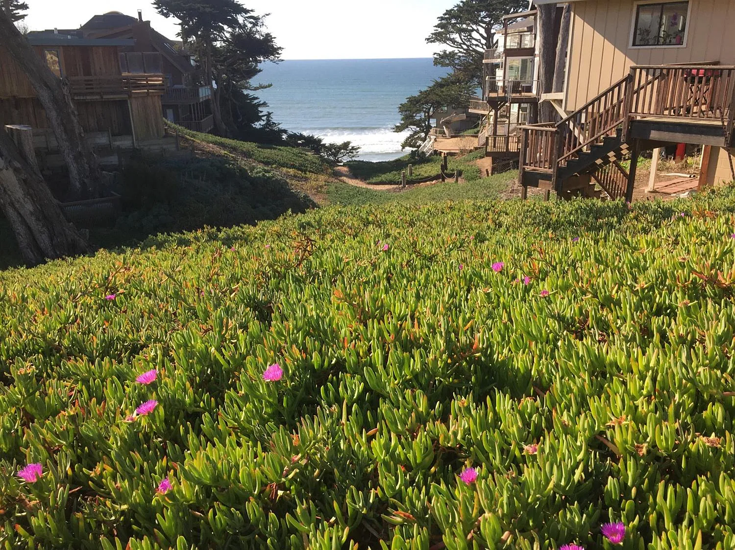 65 Sunset Dr photo 1