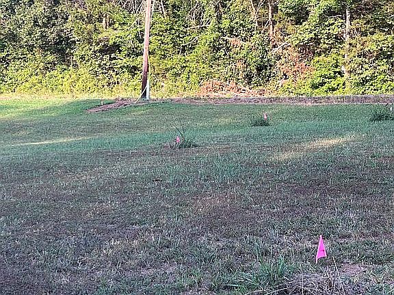 4th image of 1088 Lower River Rd