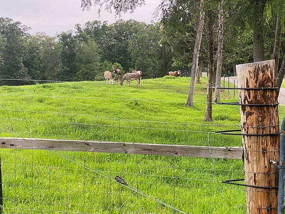 41st image of this home