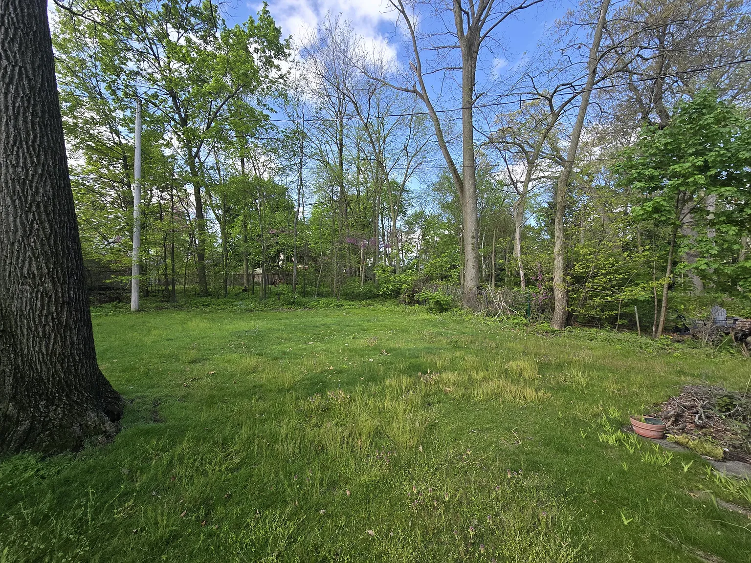 2 bed, 1.5 bath, 1065 sqft, $2,000 — Photo 4