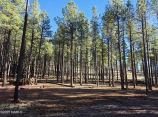 13398 E Fallow Deer Rd, Parks, AZ 86018