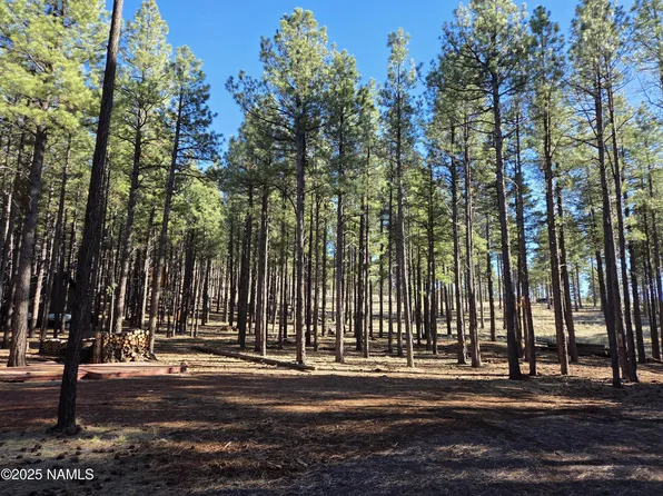 13398 E Fallow Deer Rd, Parks, AZ 86018