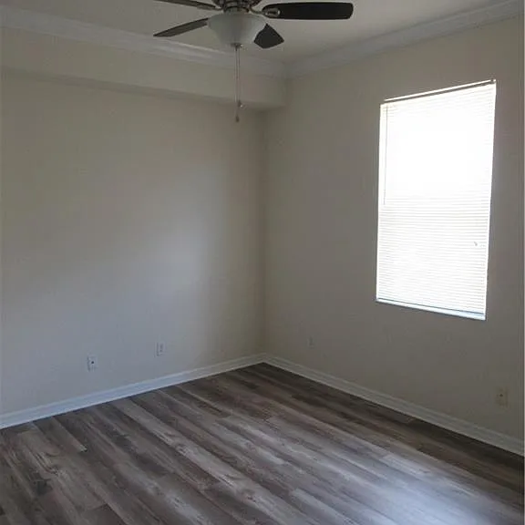13696 Troia Dr — Photo 15