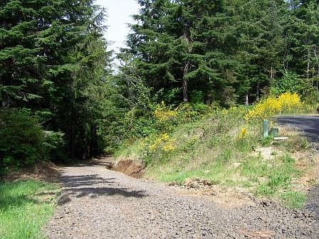 Graveled Driveway to build site