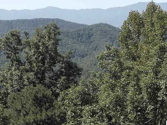 4th image of 18 Autumn Ridge Way