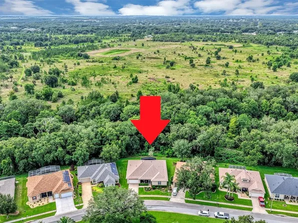 4348 Antietam Creek Trl, Leesburg, FL 34748