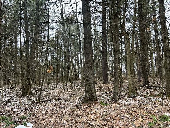 5th image of Whitaker Rd Lot 26