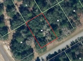 271 W Ruska Pl, Citrus Springs, FL 34434